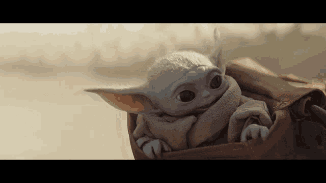 a baby yoda is sitting in a bag and looking at the camera