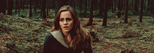 Hermione Granger Stop GIF - Hermione Granger Stop Enough GIFs