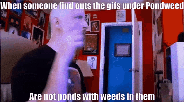 Pondweed Gifs GIF