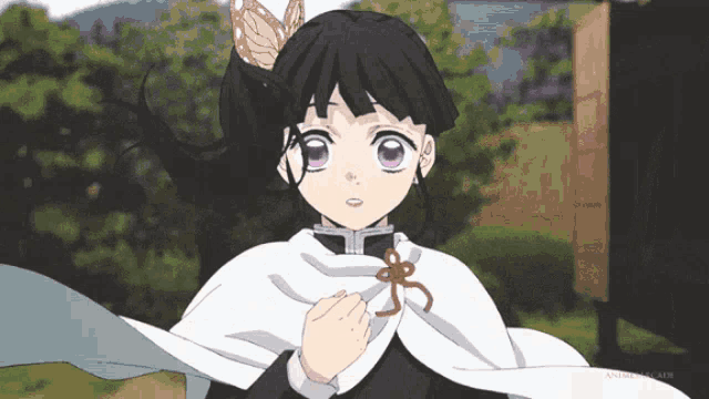a girl with a butterfly in her hair is wearing a cape