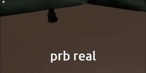 a screenshot of a video game with the words prb real