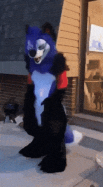 a person in a blue and black wolf costume is standing in front of a house