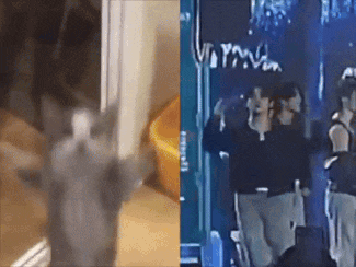 a cat is standing in a room next to a group of people .