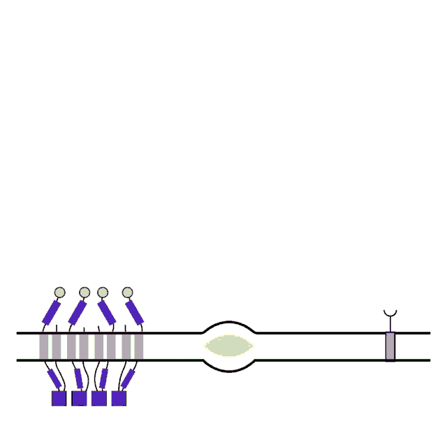 a diagram of a light bulb with the letter ld on it