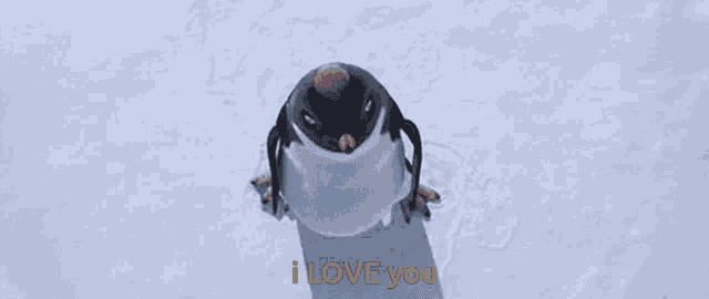 a penguin is flying through the air with the words i love you behind it
