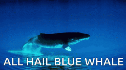Bluewhale Ahbw GIF - Bluewhale Ahbw All Hail Blue Whale GIFs
