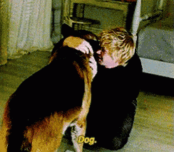 a man is kneeling down with a german shepherd and the dog is saying dog