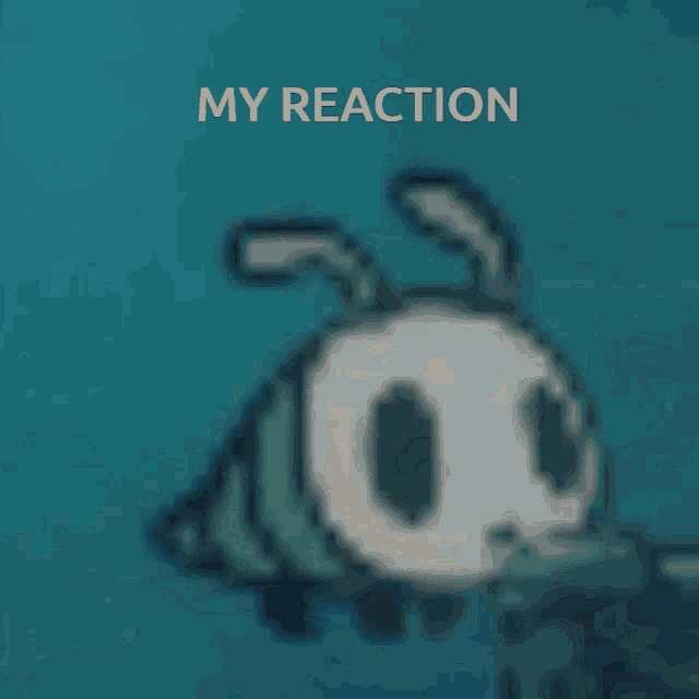 Hollow Knight My Reaction GIF - Hollow Knight My Reaction My Honest Reaction GIFs