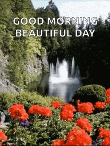 Good Morning Beautiful Day GIF