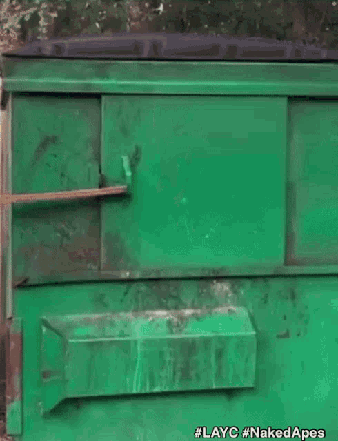 a cartoon monkey with a rainbow colored beard is looking out of a green door