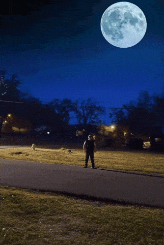 a full moon is visible in the sky above a person