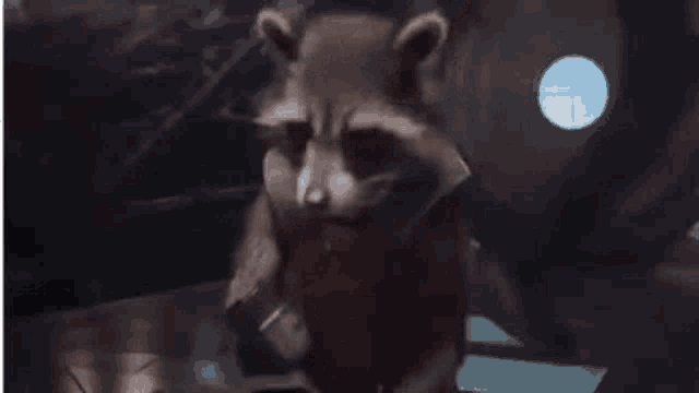 rocket raccoon from guardians of the galaxy is saying `` le quitas lo divertido a la vida ''