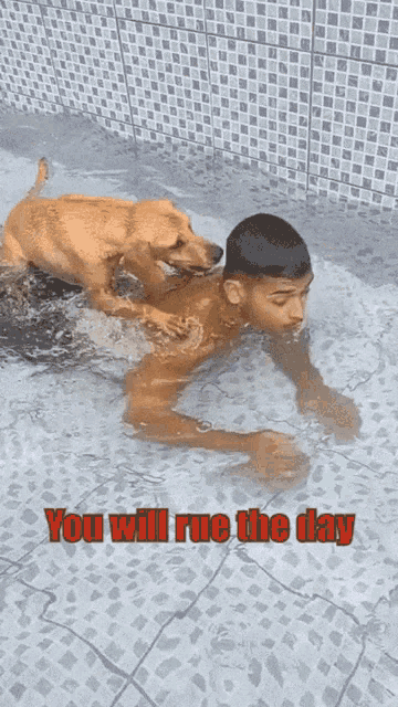 Rue The Day GIF - Rue The Day GIFs