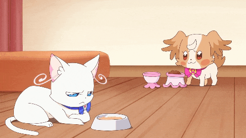 a cat and a dog are standing next to a bowl of food
