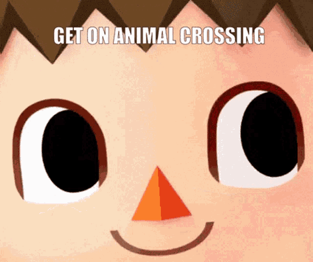 a close up of a cartoon character 's face with the words get on animal crossing below it