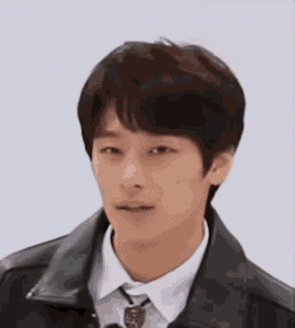 a young man wearing a black leather jacket and tie is looking at the camera .