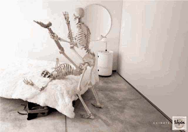 a skeleton is laying on top of another skeleton on a bed in a bedroom .