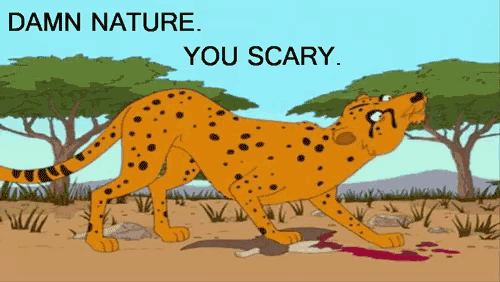 a cartoon of a cheetah with the words " damn nature you scary " below it