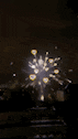 a firework display is being displayed in the night sky