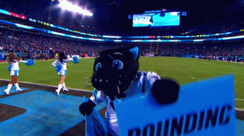 Carolina Panthers Sir Purr GIF