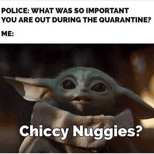 a baby yoda is asking the police what was so important you are out during quarantine .