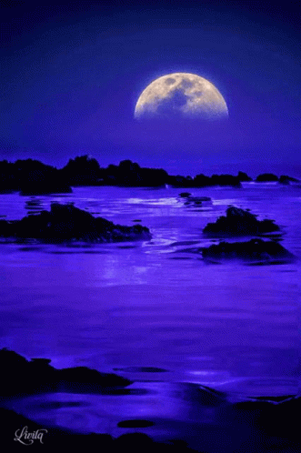 Moon Luna GIF - Moon Luna Night GIFs