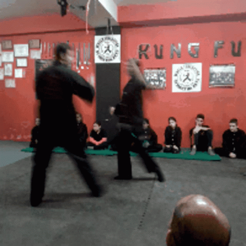 Kung Fu Worried GIF - Kung Fu Worried Sparring GIFs