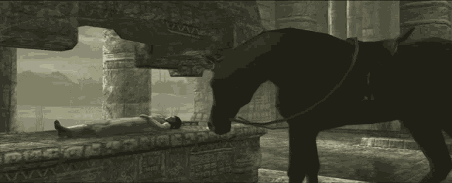 Shadow Of The Colossus Agro GIF - Shadow Of The Colossus Agro Sotc GIFs