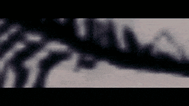 a black and white photo of a person 's skeleton with a zebra print .