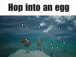 a picture of eggs in the water with the words hop into an egg below them