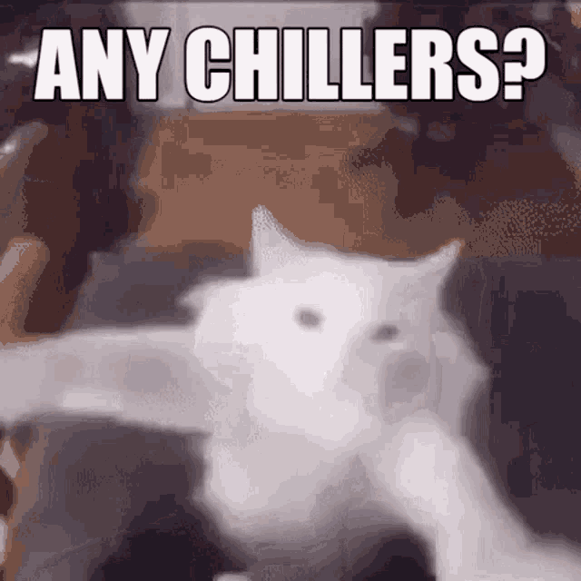Any Chillers GIF - Any Chillers Chilling GIFs