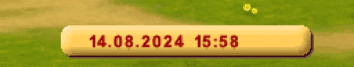 a yellow button that says 14.08.2024 15:58