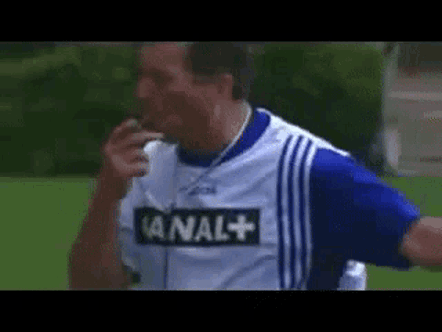 a man in a blue and white shirt with the word anal on it