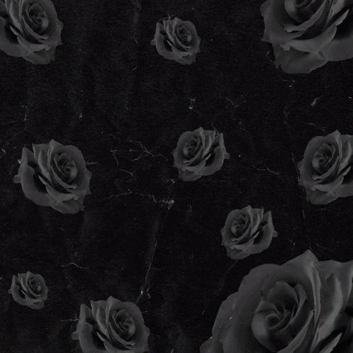 a woman wearing sunglasses and a hat is surrounded by black roses and a phone that says waalau on it