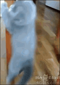 a blurry picture of a person with the website 4gifs.com in the bottom right