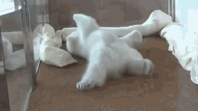 Polar Bear Cub Struggle GIF - Polar Bear Cub Struggle GIFs