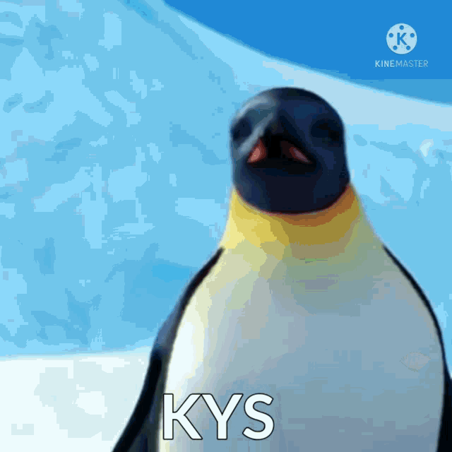 a close up of a penguin with the word kys on it