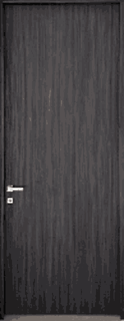 a close up of a gray door with a handle on it