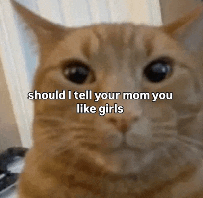 a cat with the words should i tell your mom you like girls written on its face
