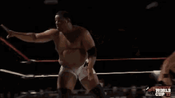 two men are wrestling in a ring with the word world cup on the bottom right