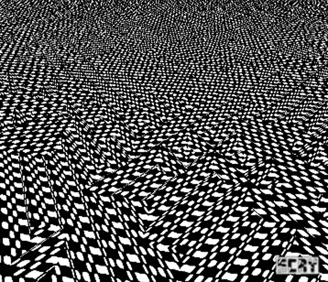 a black and white optical illusion that looks like a maze with a lot of dots .