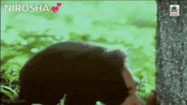 a man is standing next to a tree with the words nirosha written on the bottom