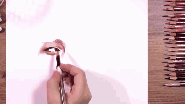 a person drawing a woman 's eye with prismacolor colored pencils