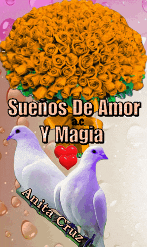 a picture of two birds and a bouquet of roses says suenos de amor y magia by anita cruz