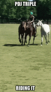 a woman riding a horse with the words pdj triple riding it