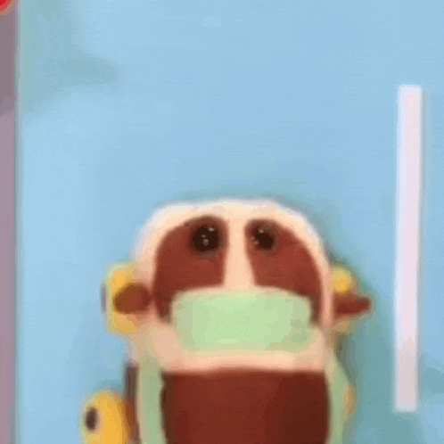 a stuffed animal with a mask on its face is sitting on top of a blue surface .