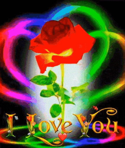 a rainbow heart with a red rose and the words " i love you " below it
