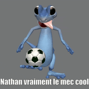 a cartoon of a lizard holding a soccer ball with the words nathan vraiment le mec cool underneath it