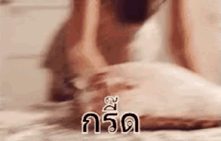 a person is standing on a bed with a pillow and a dog .