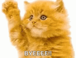 Bye Kitten Waving GIF - Bye Kitten Waving Cats GIFs